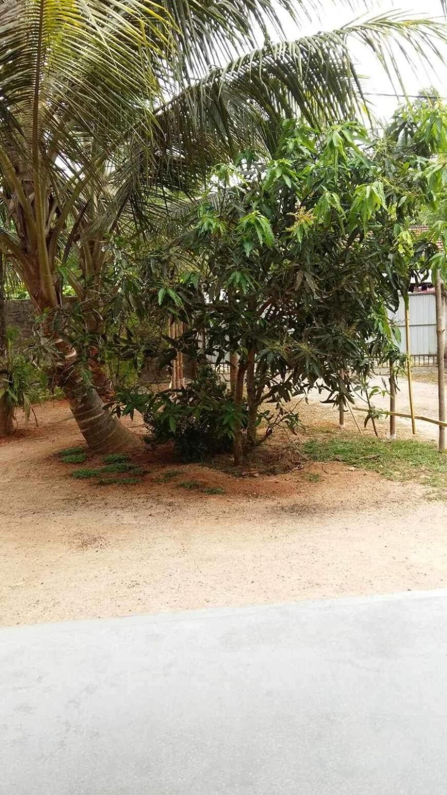 New Ocean Breeze Madiha Hotel Matara Exterior photo