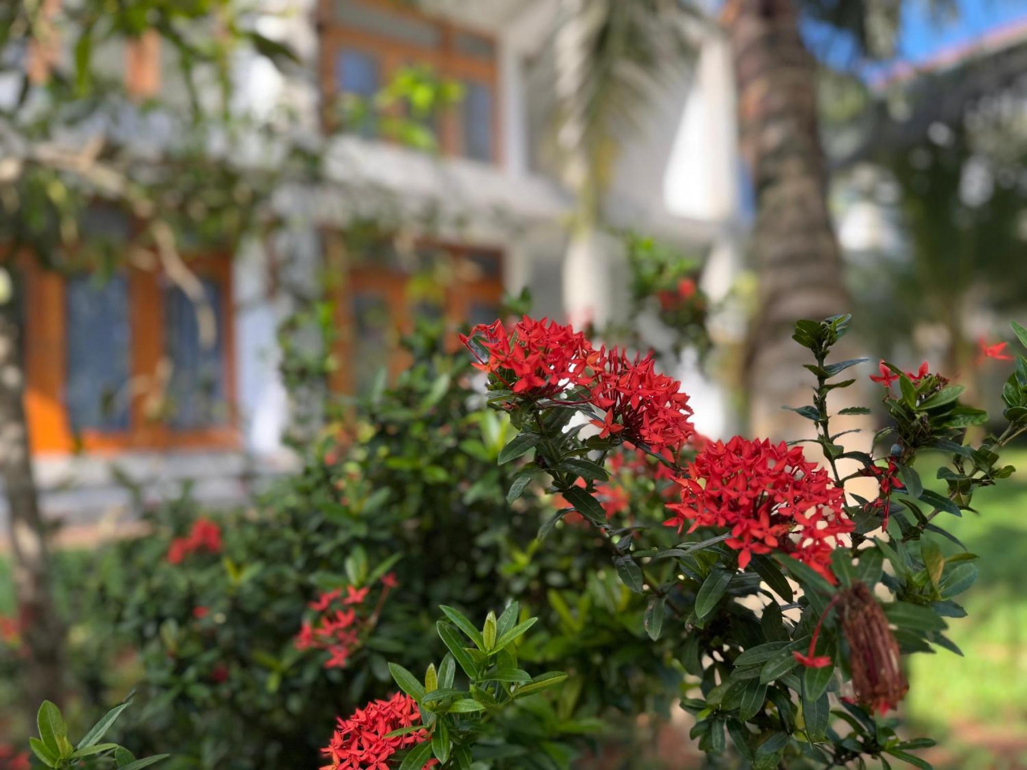 New Ocean Breeze Madiha Hotel Matara Exterior photo